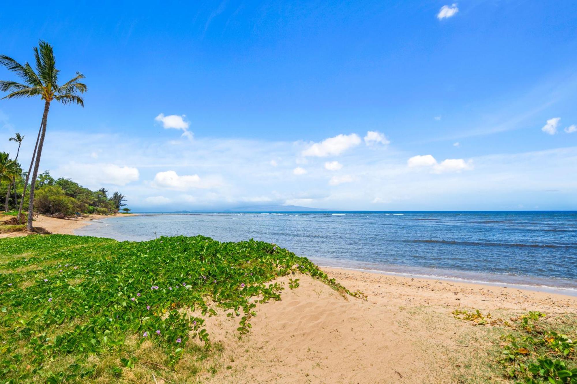 Maui Schooner Resort كيهي المظهر الخارجي الصورة